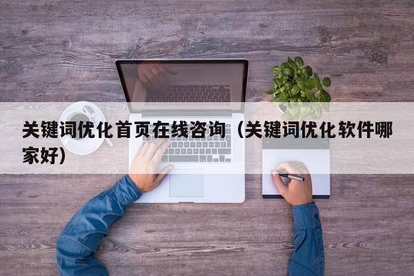 关键词优化首页在线咨询（关键词优化软件哪家好）