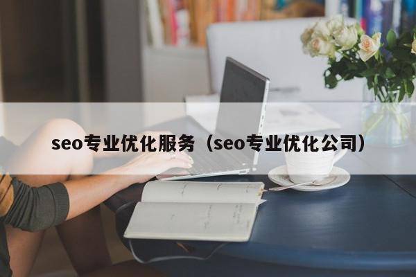 seo专业优化服务（seo专业优化公司）