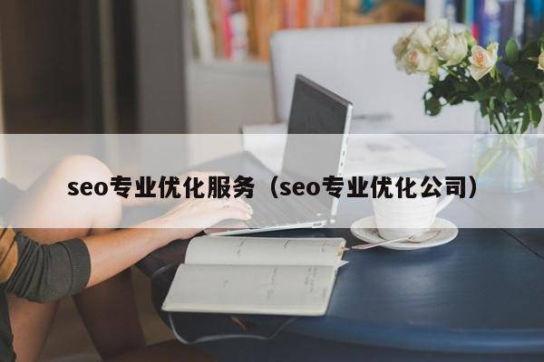 seo专业优化服务（seo专业优化公司）