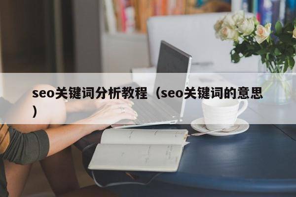 seo关键词分析教程（seo关键词的意思）