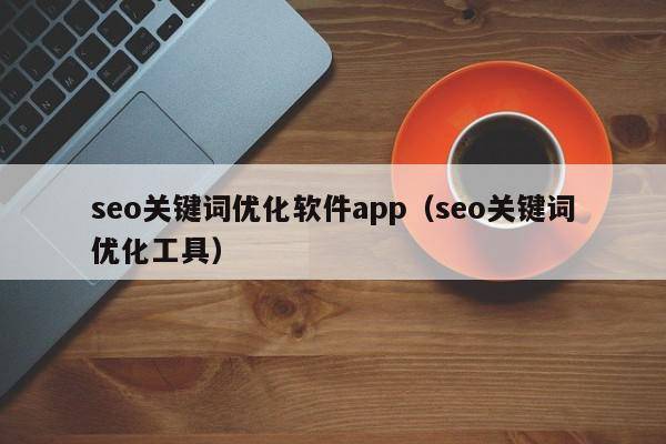 seo关键词优化软件app（seo关键词优化工具）