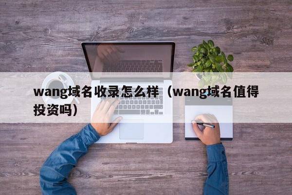 wang域名收录怎么样（wang域名值得投资吗）