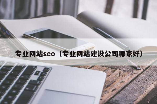 专业网站seo（专业网站建设公司哪家好）