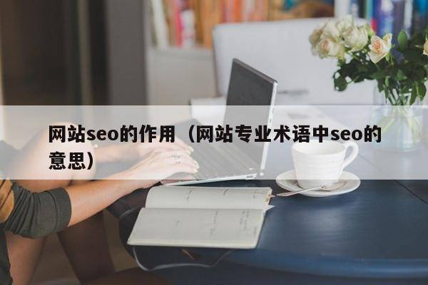 网站seo的作用（网站专业术语中seo的意思）