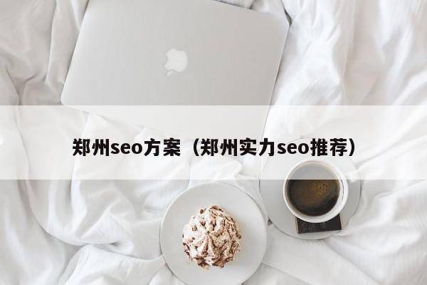 郑州seo方案（郑州实力seo推荐）