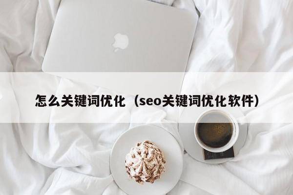 怎么关键词优化（seo关键词优化软件）