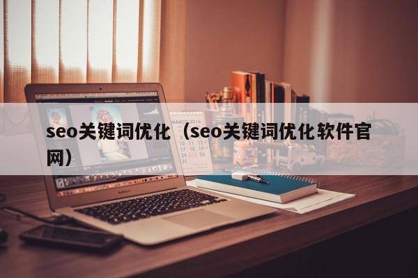 seo关键词优化（seo关键词优化软件官网）