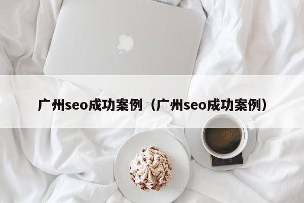 广州seo成功案例（广州seo成功案例）
