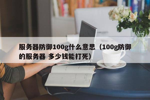 服务器防御100g什么意思（100g防御的服务器 多少钱能打死）