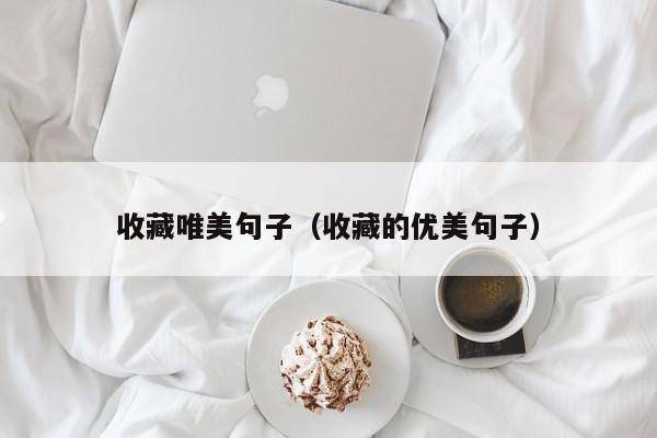 收藏唯美句子（收藏的优美句子）