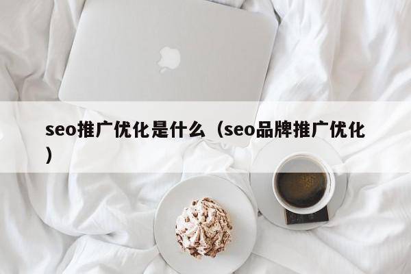 seo推广优化是什么（seo品牌推广优化）