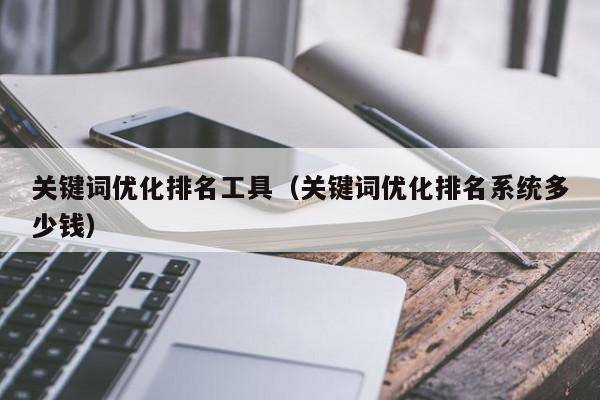 关键词优化排名工具（关键词优化排名系统多少钱）