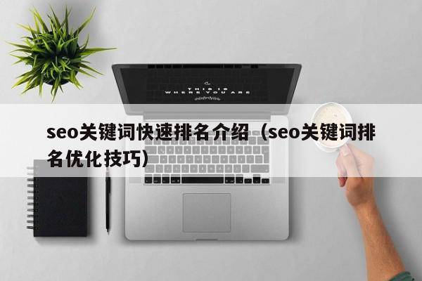 seo关键词快速排名介绍（seo关键词排名优化技巧）