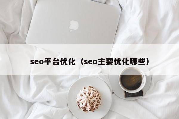 seo平台优化（seo主要优化哪些）