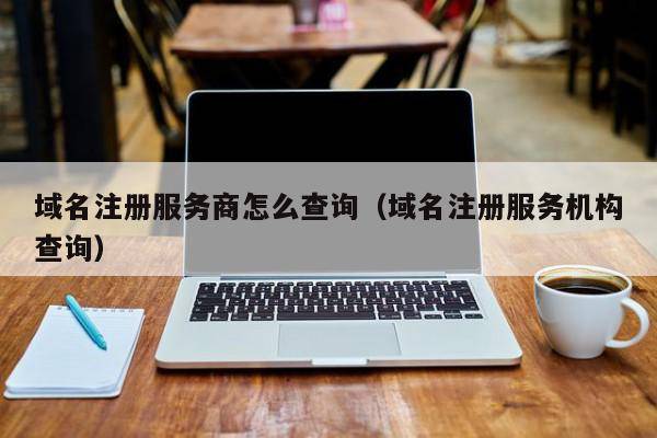 域名注册服务商怎么查询（域名注册服务机构查询）
