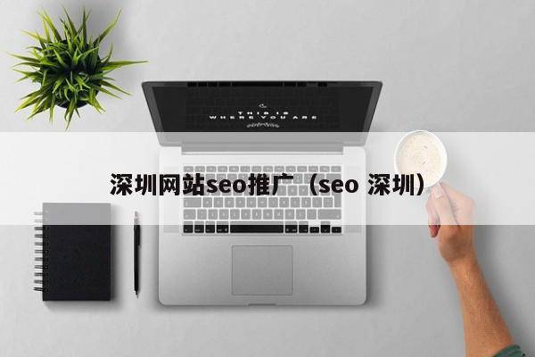 深圳网站seo推广（seo 深圳）