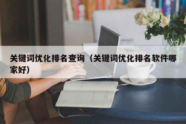 关键词优化排名查询（关键词优化排名软件哪家好）