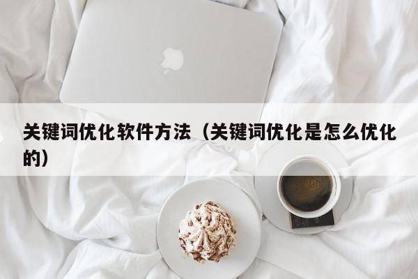 关键词优化软件方法（关键词优化是怎么优化的）