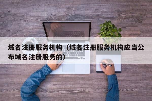 域名注册服务机构（域名注册服务机构应当公布域名注册服务的）