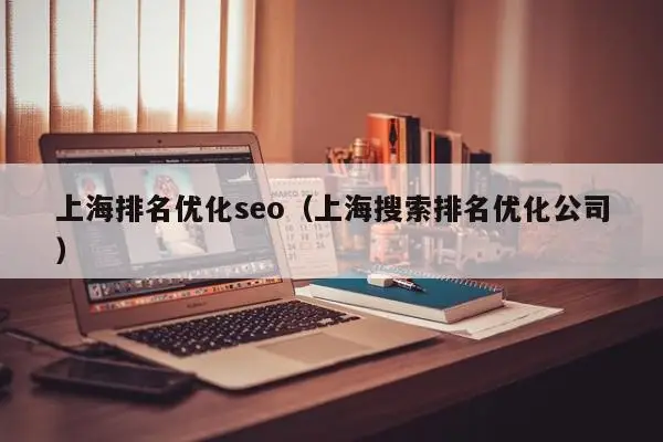上海排名优化seo（上海搜索排名优化公司）